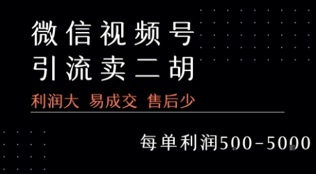 视频号卖二胡教程，利润大 易成交 售后少，一单利润5张+-韬哥副业项目资源网