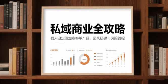 （15294期）私域商业全攻略，强人设定位加高客单产品，团队搭建与风险管控-韬哥副业项目资源网