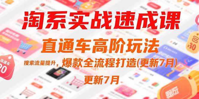 （15374期）淘系实战速成课，直通车高阶玩法，搜索流量提升，爆款全流程打造(更新7月)-韬哥副业项目资源网