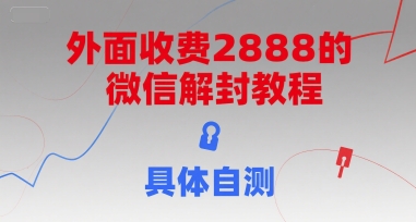 （15301期）外面收费2888的微信解封教程，具体自测-韬哥副业项目资源网