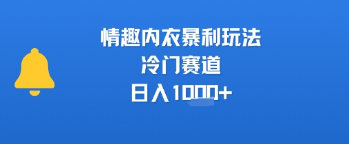 情趣内衣暴利玩法，冷门赛道，日入1k+-韬哥副业项目资源网