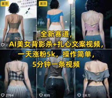 全新赛道，AI美女背影杀+扎心文案视频，一天涨粉5k，操作简单，5分钟一条视频-韬哥副业项目资源网