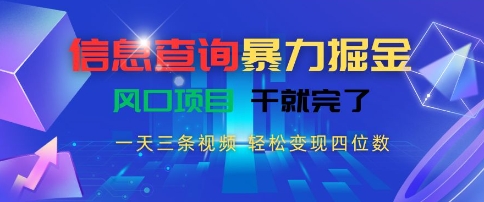 信息查询暴力掘金，一天三条视频，轻松变现四位数，风口项目干就完了【揭秘】-韬哥副业项目资源网