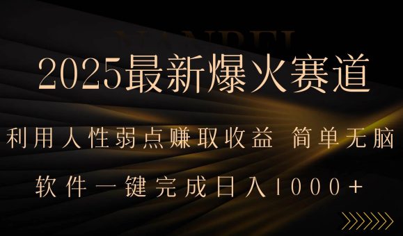 （15675期）2025最新爆火赛道，利用人生弱点赚取收益，全程一键批量制作，小白轻松…-韬哥副业项目资源网