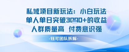 私域项目新玩法小白玩法单人单日突破1k的收益人群质量高付费意识强-韬哥副业项目资源网