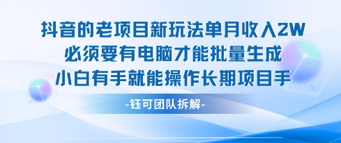 老项目新玩法单月收入2W小白有手就能操作长期项目-韬哥副业项目资源网
