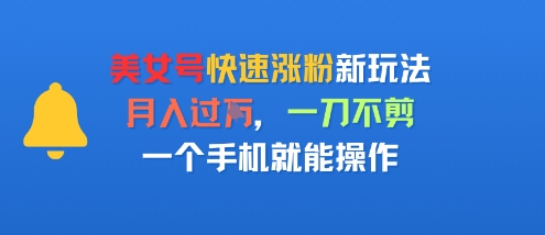 美女号快速涨粉新玩法，月入过W，一刀不剪，一个手机就能操作-韬哥副业项目资源网