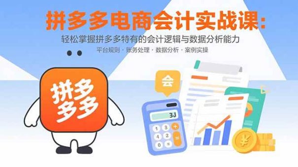 (15767期)拼多多电商会计实战课:轻松掌握拼多多特有的会计逻辑与数据分析能力-韬哥副业项目资源网