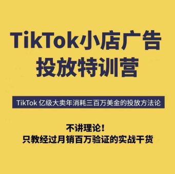 TikTok小店广告投放特训营，6天破局计划专治各种“投不动”，教你经过月销百万验证的实战干货-韬哥副业项目资源网