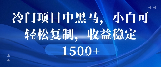 冷门项目中黑马，小白可轻松复制，收益稳定1.5k-韬哥副业项目资源网