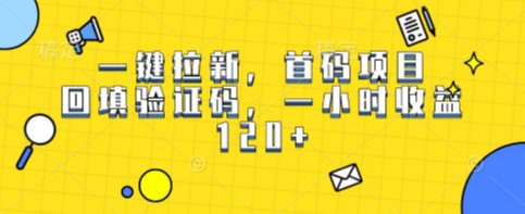 一键拉新，首码项目，回填验证码，一小时收益1张-韬哥副业项目资源网