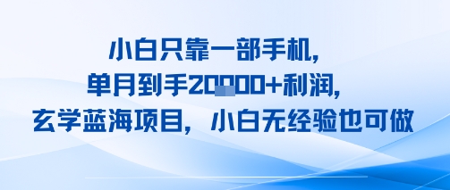 小白只靠一部手机，单月到手2W+利润，玄学蓝海项目，小白无经验也可做-韬哥副业项目资源网