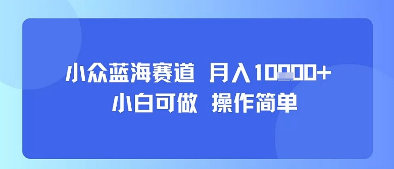 小众蓝海赛道，小白可做，操作简单，每天30分钟，月入1W+-韬哥副业项目资源网