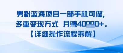 8月新男粉蓝海项目一部手机可做，多重变现方式 月入4W+【详细操作流程拆解】-韬哥副业项目资源网