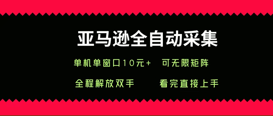 (15704期)亚马逊全自动采集,单机单窗口一天10+,可无限矩阵去做-韬哥副业项目资源网