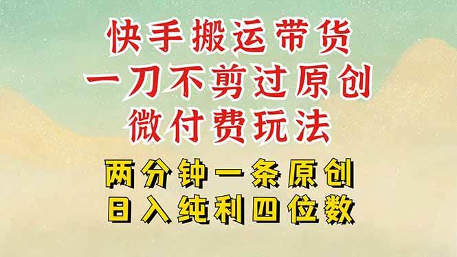 （15577期）快手黑科技搬运带货，一刀不剪过原创，微付费投流玩法，轻松日入四位数…-韬哥副业项目资源网