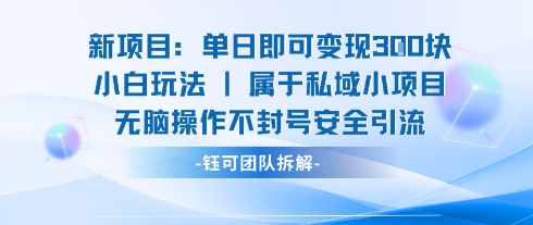 新项目单日即可变现3张的小白玩法无脑操作不封号安全引流-韬哥副业项目资源网