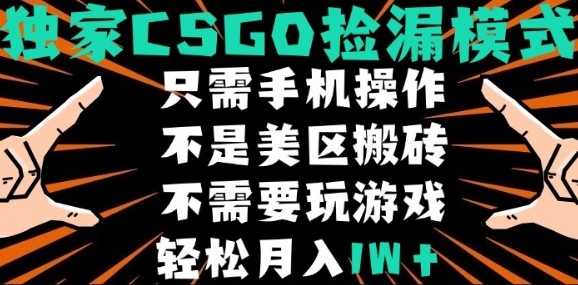 CSGO自动捡漏项目，最新独家玩法，不是美区搬砖，不需要了解和玩游戏，新手小白轻松月入1W+【揭秘】-韬哥副业项目资源网
