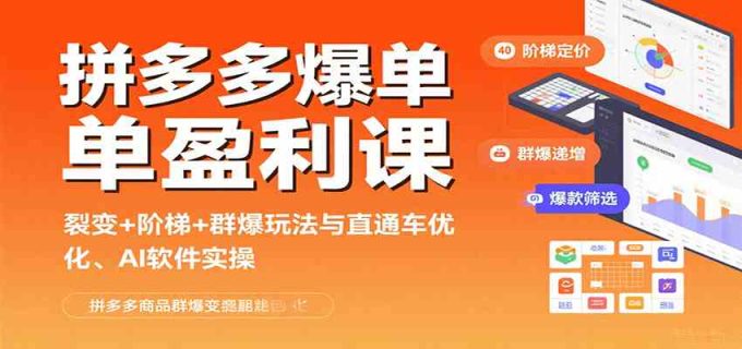 拼多多爆单盈利课:裂变+阶梯+群爆玩法与直通车优化、AI 软件实操-韬哥副业项目资源网