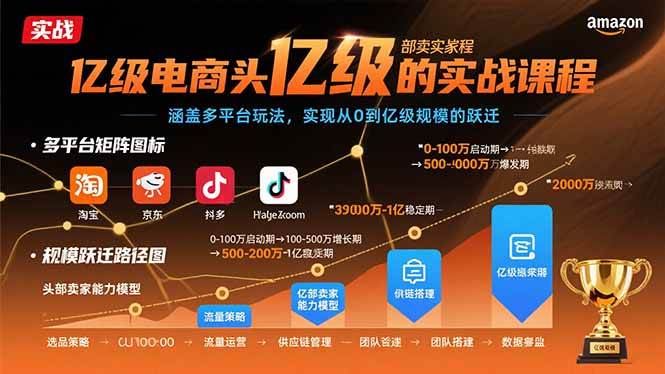 （15803期）亿级电商头部卖家的实战课程：涵盖多平台玩法，实现从0到亿级规模的跃迁-韬哥副业项目资源网