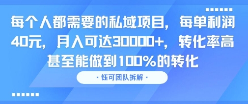 每个人都需要的私域项目,每单利润40米,月入可达3W+,转化率高 甚至能做到100%的转化-韬哥副业项目资源网