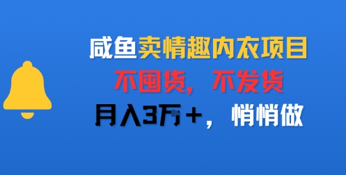 咸鱼卖情趣内衣项目，不囤货，不发货，月入3W+，悄悄做-韬哥副业项目资源网