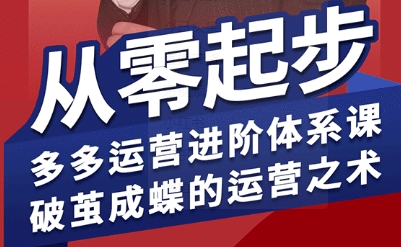 拼多多运营进阶系统课,从零起步,多多运营进阶体系课,破茧成蝶的运营之术-韬哥副业项目资源网