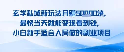 玄学私域新玩法月入1W+,最快当天就能变现看到米,小白新手适合入局做的副业项目