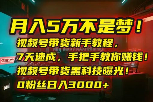 (15595期)月入5万不是梦!视频号带货新手教程,7天速成,手把手教你赚钱!视频号…-韬哥副业项目资源网