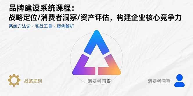 （15772期）品牌建设系统课程：战略定位/消费者洞察/资产评估，构建企业核心竞争力-韬哥副业项目资源网