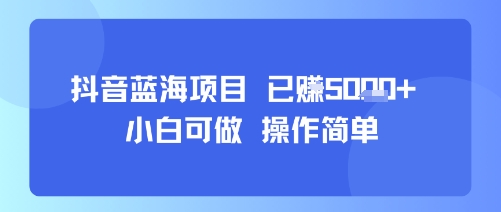 抖音蓝海项目，小白可做，操作简单，可批量制作，已挣5k+-韬哥副业项目资源网