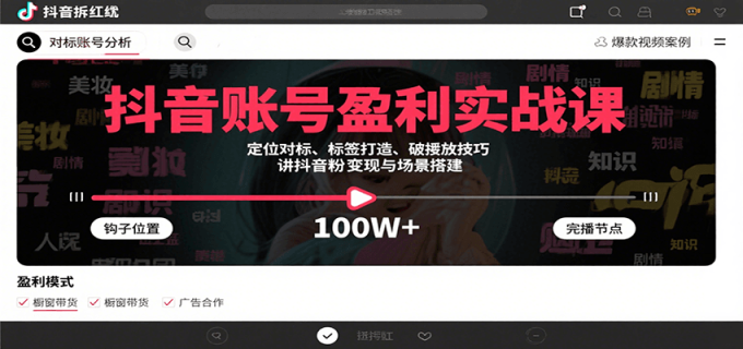 抖音账号盈利实战课,定位对标、标签打造、破播放技巧,讲涨粉变现与场景搭建-韬哥副业项目资源网