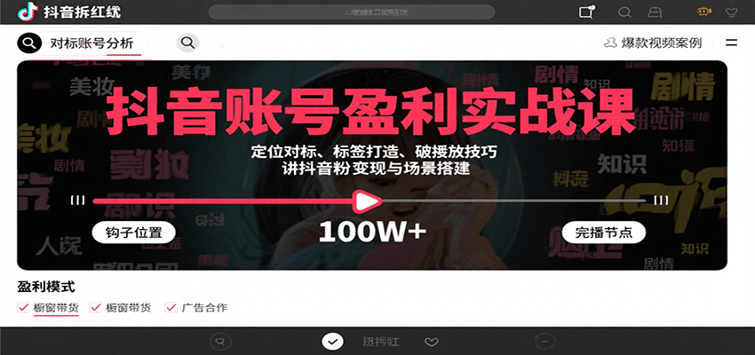 抖音账号盈利实战课,定位对标、标签打造、破播放技巧,讲涨粉变现与场景搭建-韬哥副业项目资源网