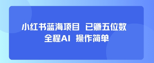 小红书蓝海项目，全程AI，操作简单，已挣五位数-韬哥副业项目资源网