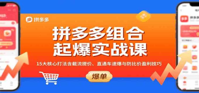拼多多组合起爆实战课：15大核心打法含截流提价、直通车速爆与防比价盈利技巧-韬哥副业项目资源网