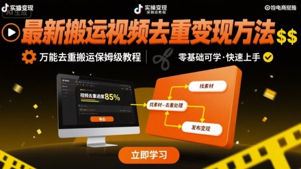 最新搬运视频去重变现方法，万能去重搬运保姆级教程-韬哥副业项目资源网