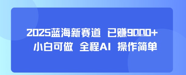 2025蓝海新赛道 已挣9k+ 小白可做 全程AI 操作简单-韬哥副业项目资源网