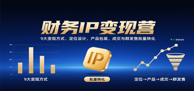财务IP变现营：9大变现方式、定位设计、产品包装，成交与群发售批量转化-韬哥副业项目资源网