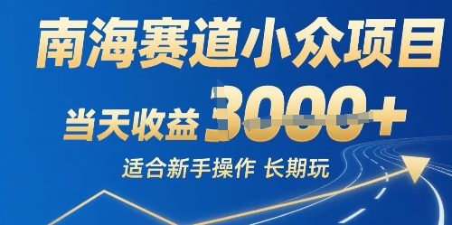 南海赛道小众项目，当天收益1k+适合新手操作可以长期玩-韬哥副业项目资源网