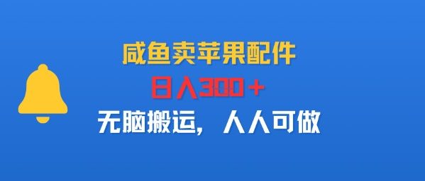 咸鱼卖苹果配件，日入3张+，无脑搬运，人人可做-韬哥副业项目资源网