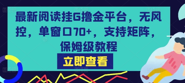 最新阅读挂G撸金平台，无风控，单窗口70+，支持矩阵，保姆级教程【揭秘】-韬哥副业项目资源网