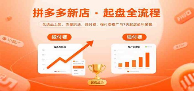 拼多多新店起盘全流程,含选品上架、流量玩法,微付费、强付费推广与7天起店盈利策略-韬哥副业项目资源网