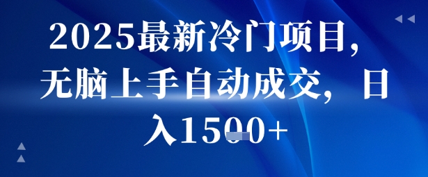 2025最新冷门项目，无脑上手自动成交，日入多张-韬哥副业项目资源网