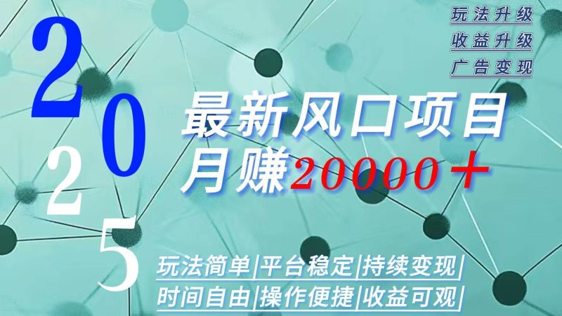 (15694期)2025广告赛道新风口-月赚2W+玩法简单,时间自由-韬哥副业项目资源网