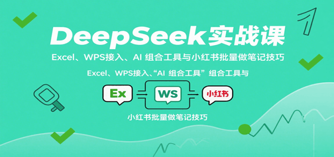 DeepSeek实战课:Excel、WPS接入、AI 组合工具与小红书批量做笔记技巧-韬哥副业项目资源网