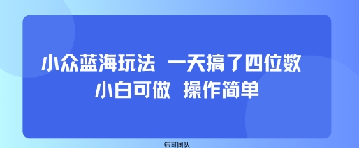小众蓝海玩法 一天搞了四位数 小白可做 操作简单-韬哥副业项目资源网