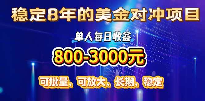 （15782期）稳定8年的美金对冲创业项目，单人每日收益800-3000，小众暴力项目-韬哥副业项目资源网