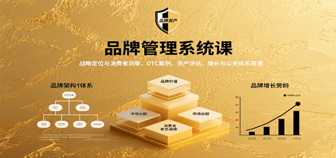 品牌管理系统课:战略定位与消费者洞察,DTC案例、资产评估,增长与公关体系搭建-韬哥副业项目资源网