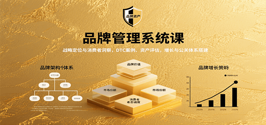 品牌管理系统课：战略定位与消费者洞察，DTC案例、资产评估，增长与公关体系搭建-韬哥副业项目资源网