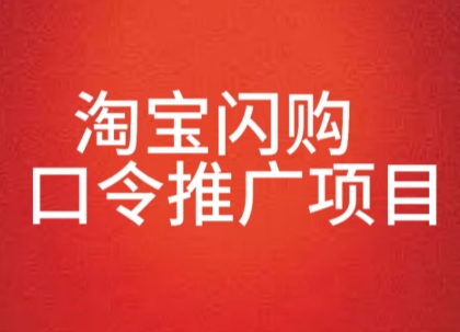 淘宝闪购口令推广项目，收益可观，一部手机，一个抖音号即可操作-韬哥副业项目资源网